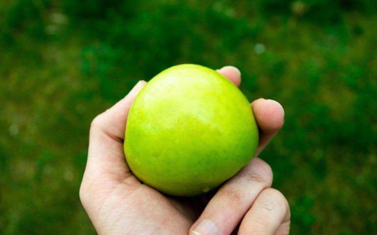 pexels-mehmetalituran-4192845